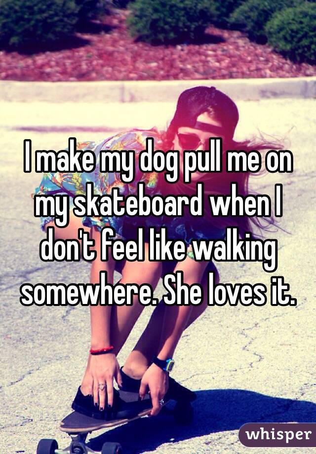 I make my dog pull me on my skateboard when I don't feel like walking somewhere. She loves it.