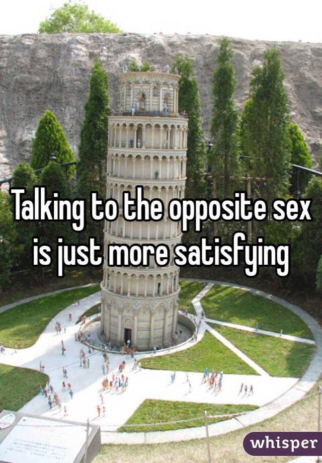 Talking to the opposite sex is just more satisfying 