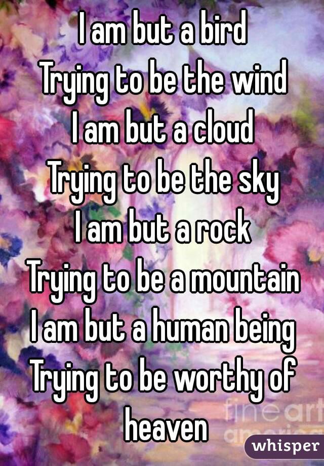 I am but a bird
Trying to be the wind
I am but a cloud
Trying to be the sky
I am but a rock
Trying to be a mountain
I am but a human being
Trying to be worthy of heaven