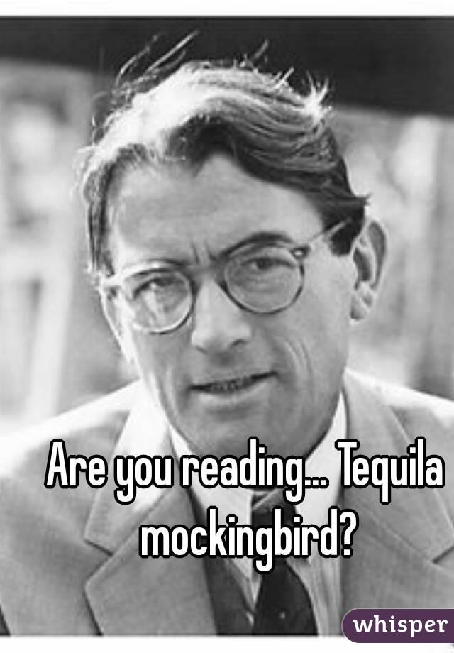 Are you reading... Tequila mockingbird?