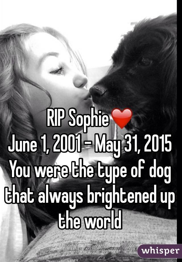 RIP Sophie❤️
June 1, 2001 - May 31, 2015 
You were the type of dog that always brightened up the world