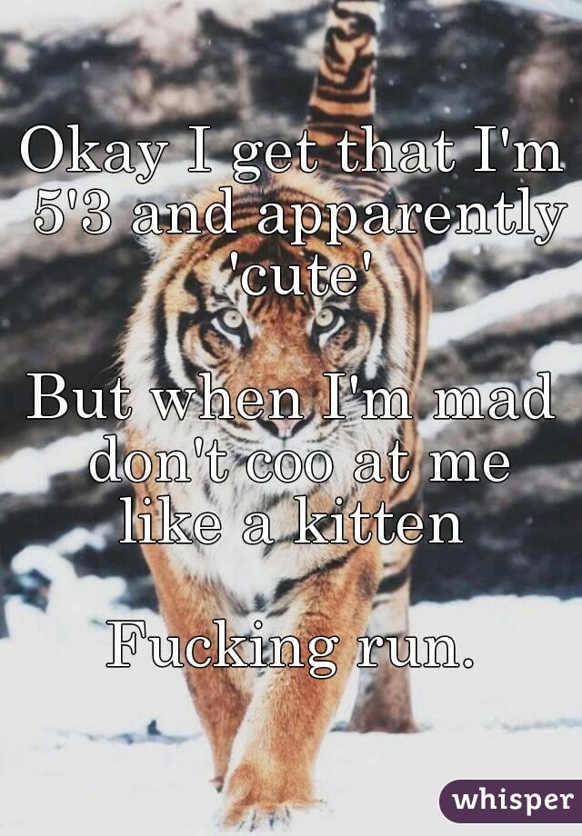 Okay I get that I'm 5'3 and apparently 'cute'

But when I'm mad don't coo at me like a kitten 

Fucking run.
