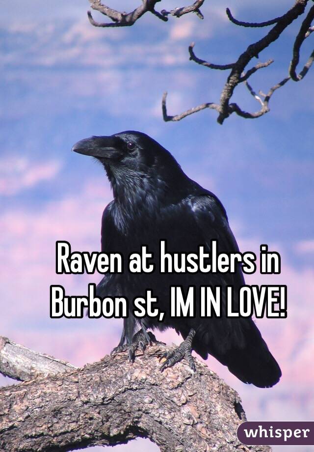 Raven at hustlers in Burbon st, IM IN LOVE!
