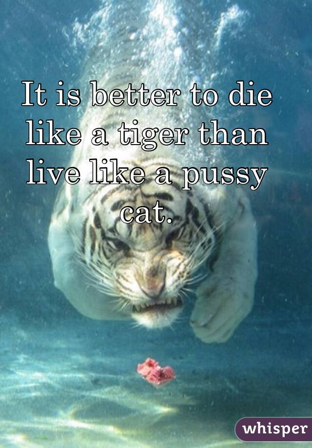 It is better to die like a tiger than live like a pussy cat. 