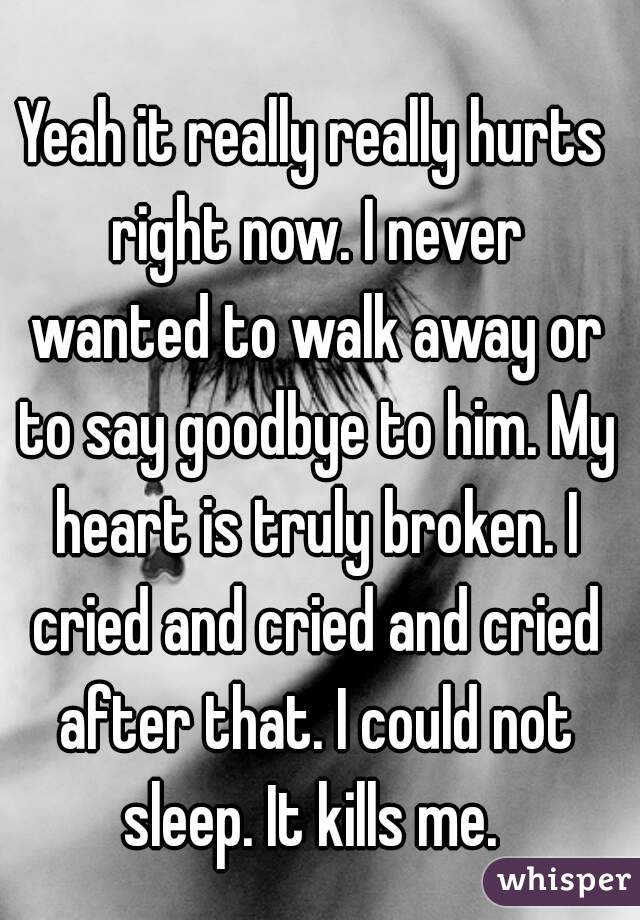 Yeah it really really hurts right now. I never wanted to walk away or to say goodbye to him. My heart is truly broken. I cried and cried and cried after that. I could not sleep. It kills me. 