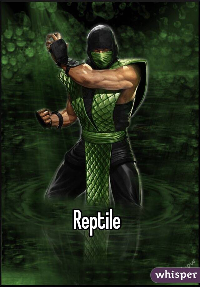Reptile 