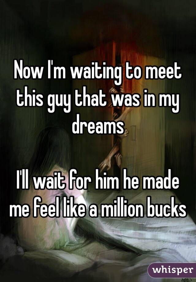 Now I'm waiting to meet this guy that was in my dreams 

I'll wait for him he made me feel like a million bucks 