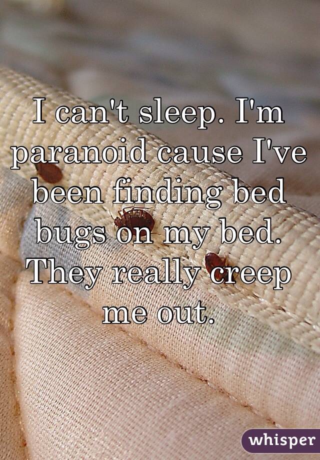 I can't sleep. I'm paranoid cause I've been finding bed bugs on my bed. They really creep me out. 