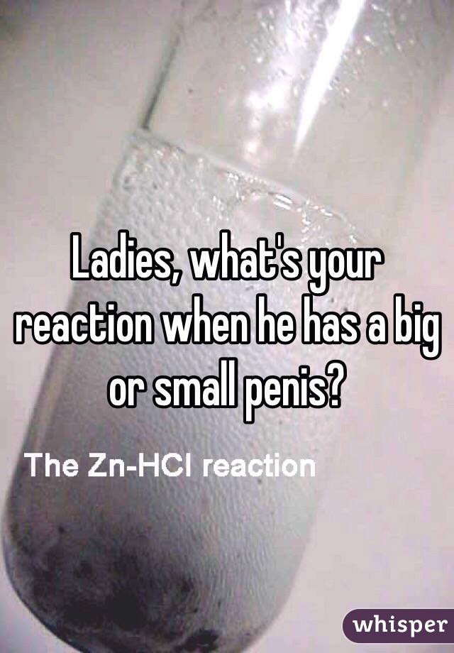 Ladies, what's your reaction when he has a big or small penis?