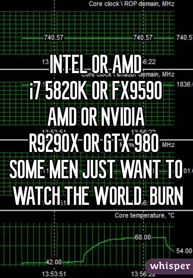 INTEL OR AMD
i7 5820K OR FX9590
AMD OR NVIDIA
R9290X OR GTX 980 
SOME MEN JUST WANT TO WATCH THE WORLD  BURN