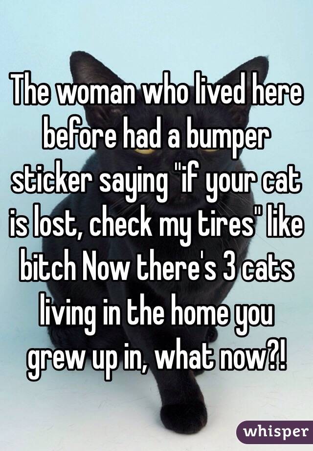 The woman who lived here before had a bumper sticker saying "if your cat is lost, check my tires" like bitch Now there's 3 cats living in the home you grew up in, what now?!