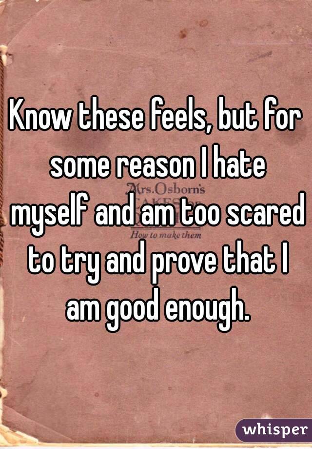 Know these feels, but for some reason I hate myself and am too scared to try and prove that I am good enough.