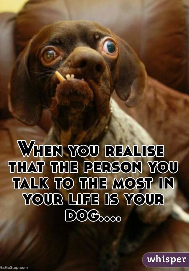 When you realise that the person you talk to the most in your life is your dog....