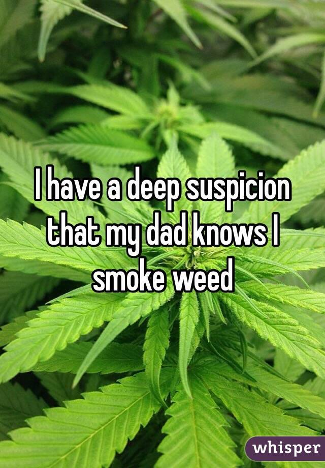I have a deep suspicion that my dad knows I smoke weed 