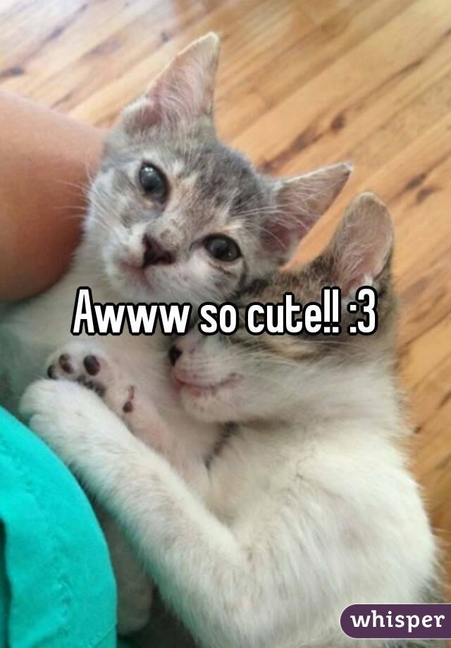 Awww so cute!! :3