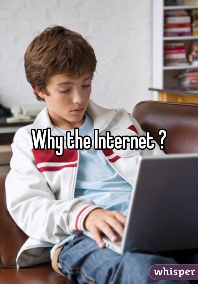 Why the Internet ? 