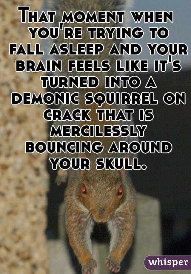 That moment when you're trying to fall asleep and your brain feels like it's turned into a demonic squirrel on crack that is mercilessly bouncing around your skull.