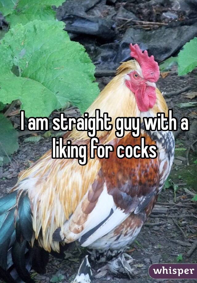 I am straight guy with a liking for cocks 
