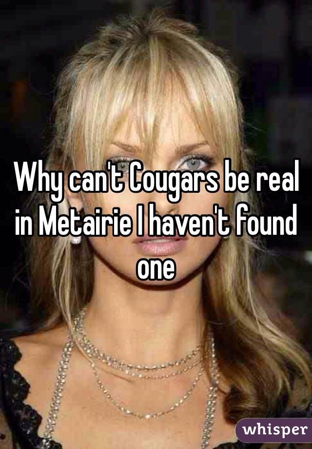 Why can't Cougars be real in Metairie I haven't found one 