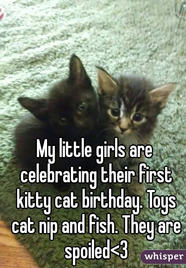 My little girls are celebrating their first kitty cat birthday. Toys cat nip and fish. They are spoiled<3