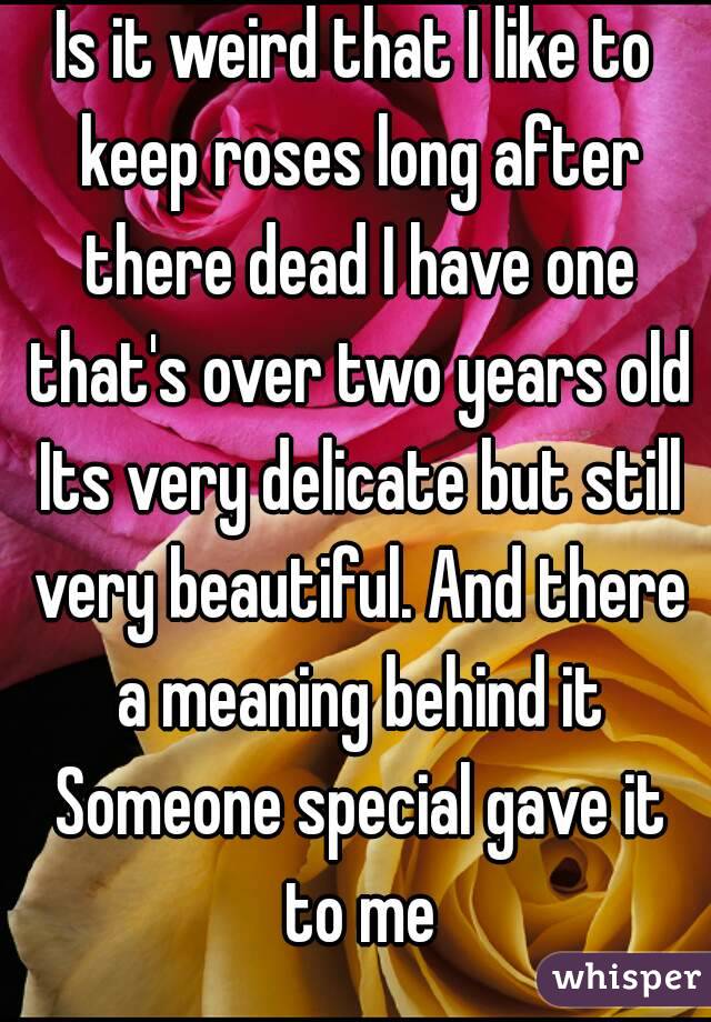 Is it weird that I like to keep roses long after there dead I have one that's over two years old Its very delicate but still very beautiful. And there a meaning behind it Someone special gave it to me