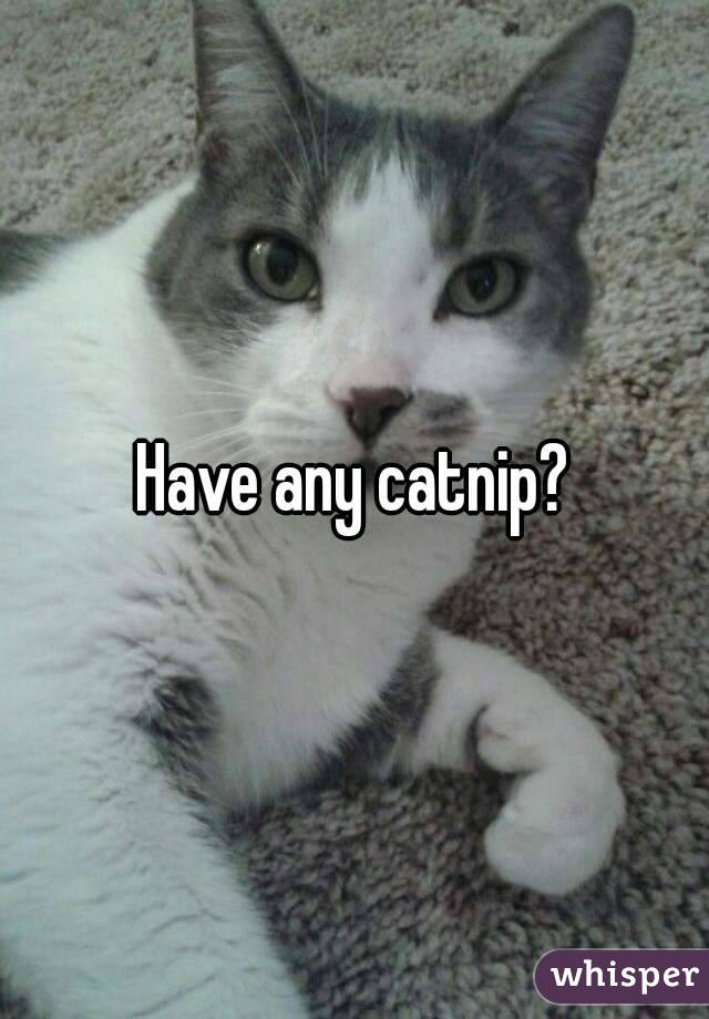 Have any catnip?
