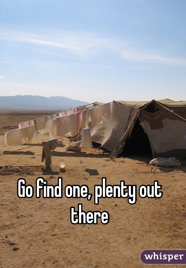 Go find one, plenty out there 