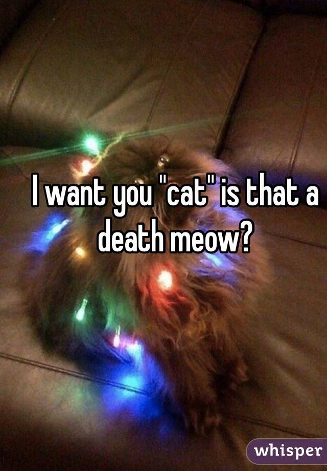 I want you "cat" is that a death meow? 