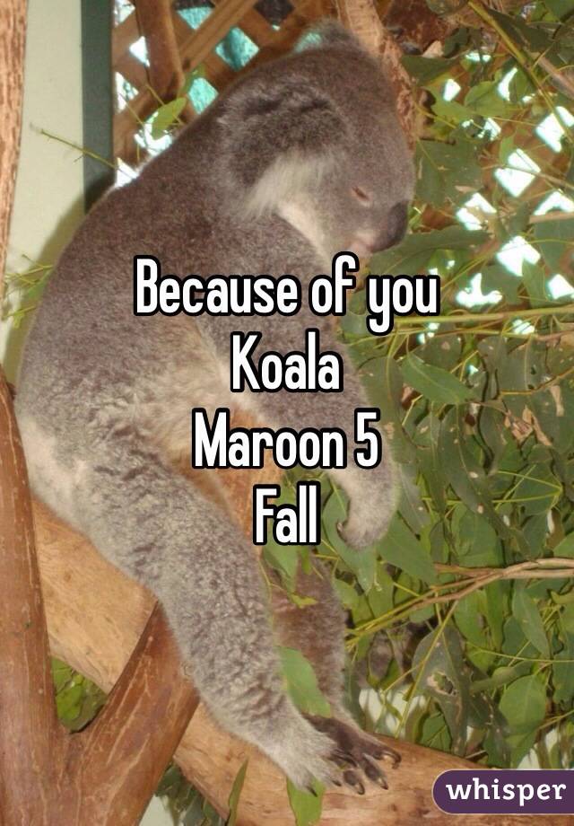 Because of you
Koala
Maroon 5
Fall