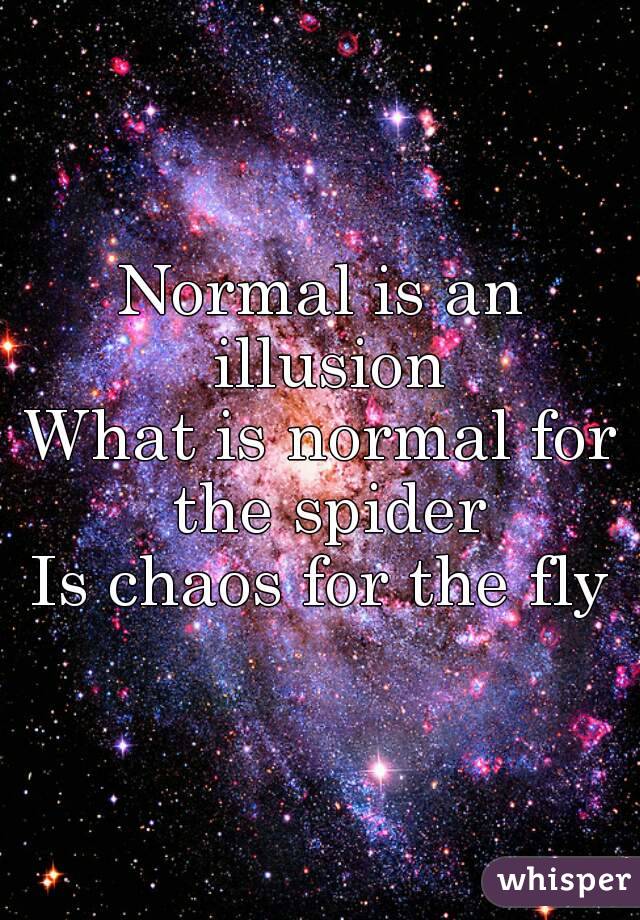 Normal is an illusion
What is normal for the spider
Is chaos for the fly