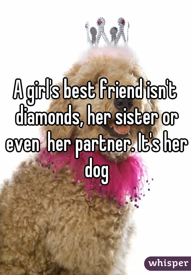 A girl's best friend isn't diamonds, her sister or even  her partner. It's her dog
