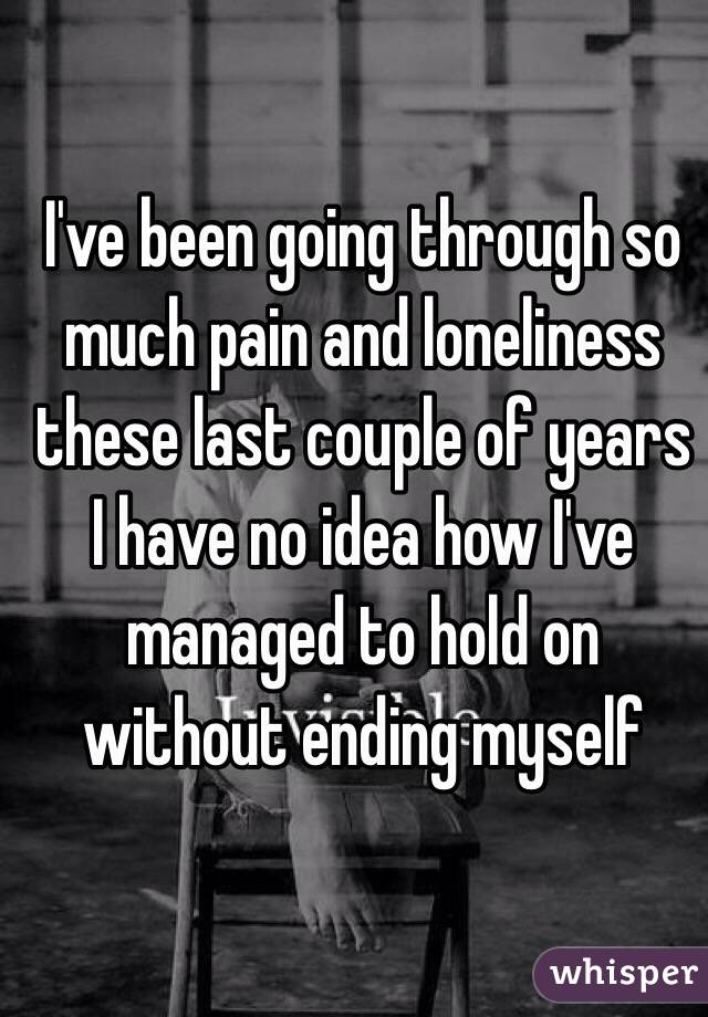 I've been going through so much pain and loneliness  these last couple of years I have no idea how I've managed to hold on without ending myself