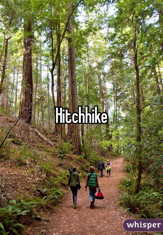 Hitchhike 
