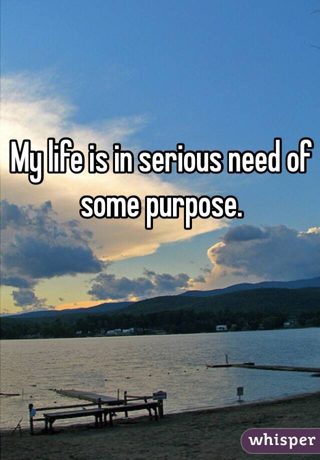 My life is in serious need of some purpose.