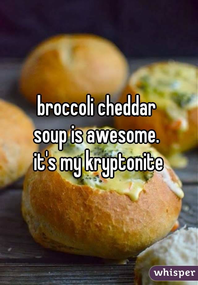 broccoli cheddar 
soup is awesome. 
it's my kryptonite