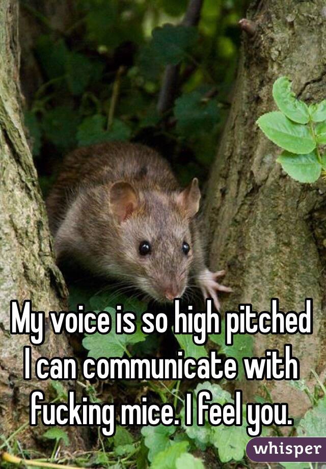 My voice is so high pitched I can communicate with fucking mice. I feel you.