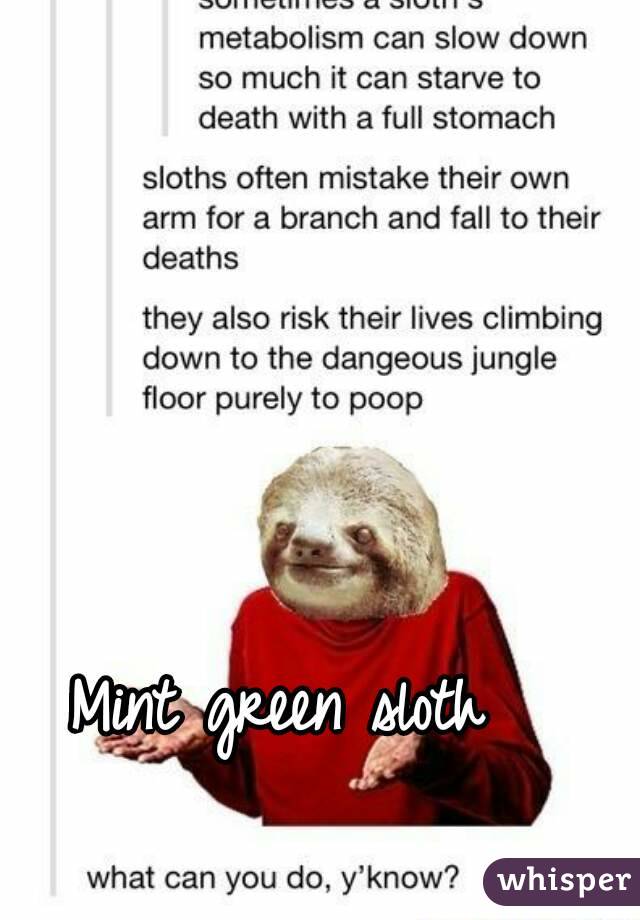 Mint green sloth