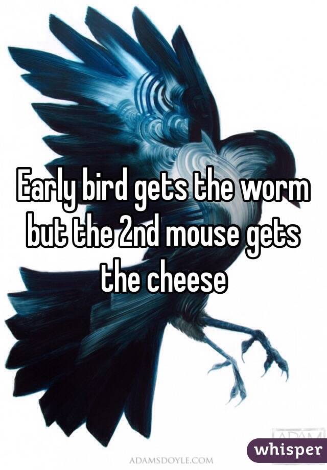 Early bird gets the worm but the 2nd mouse gets the cheese