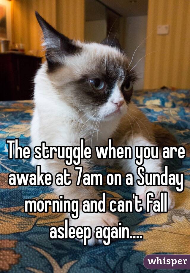 The struggle when you are awake at 7am on a Sunday morning and can't fall asleep again....