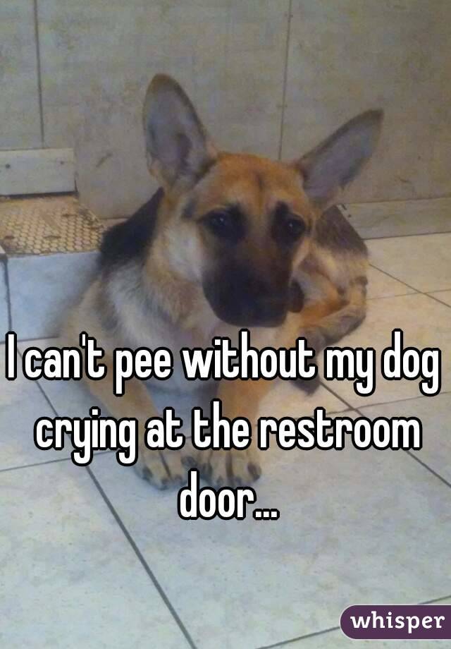 I can't pee without my dog crying at the restroom door...