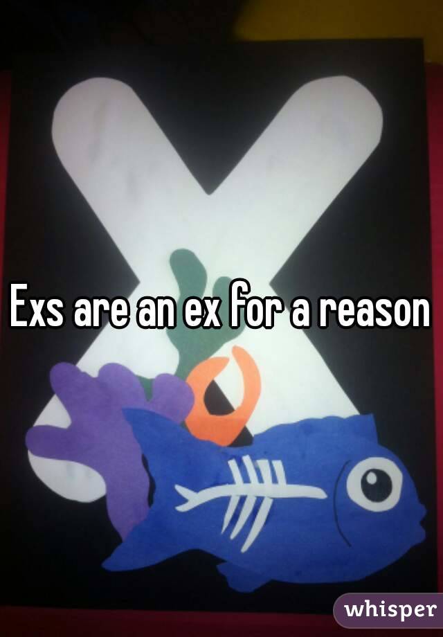 Exs are an ex for a reason