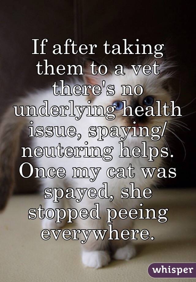 If after taking them to a vet there's no underlying health issue, spaying/neutering helps. Once my cat was spayed, she stopped peeing everywhere. 