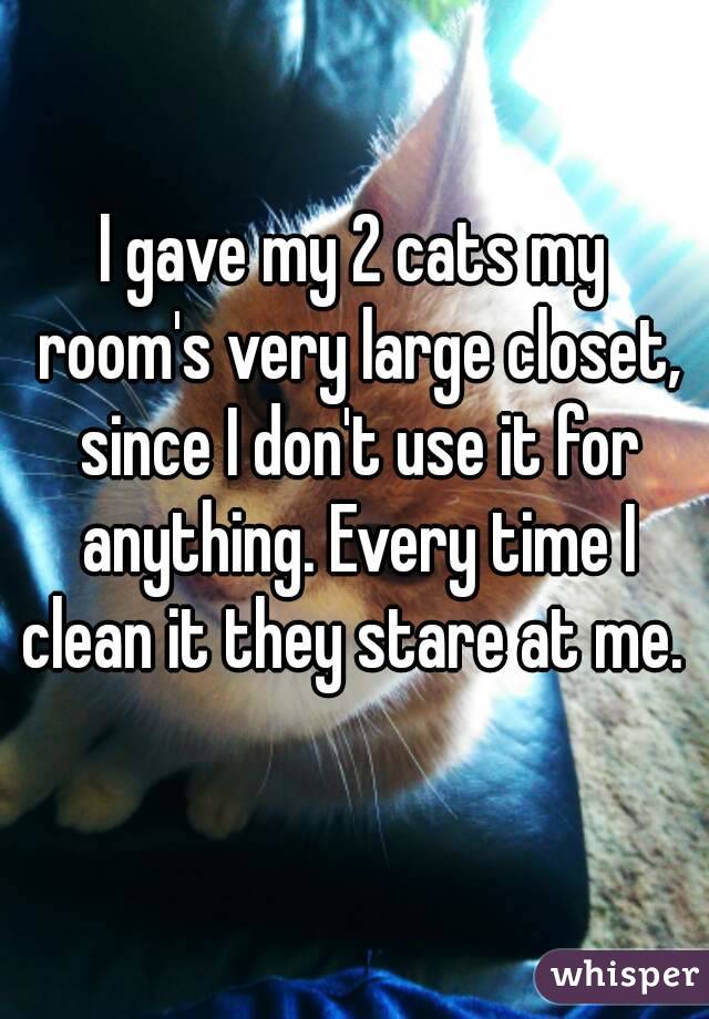 I gave my 2 cats my room's very large closet, since I don't use it for anything. Every time I clean it they stare at me. 