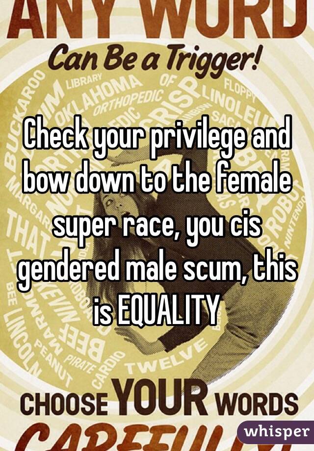 Check your privilege and bow down to the female super race, you cis gendered male scum, this is EQUALITY