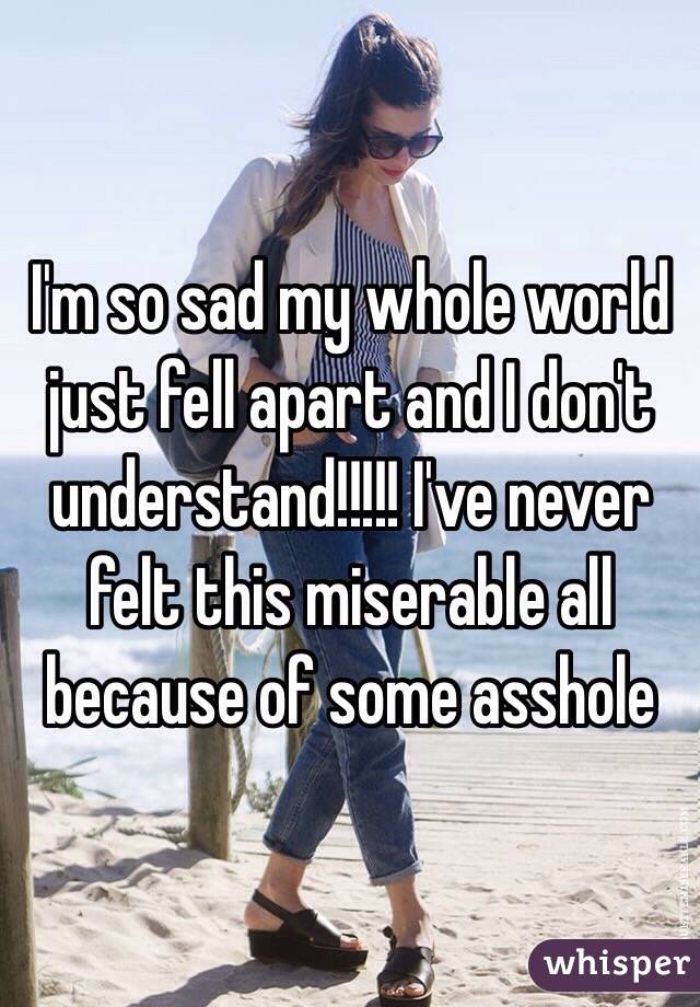 I'm so sad my whole world just fell apart and I don't understand!!!!! I've never felt this miserable all because of some asshole