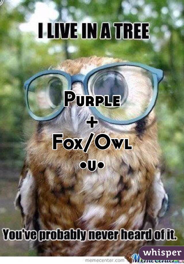 Purple 
+
Fox/Owl
•u•