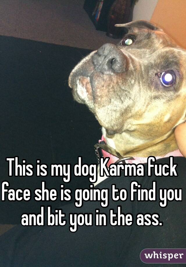 This is my dog Karma fuck face she is going to find you and bit you in the ass. 