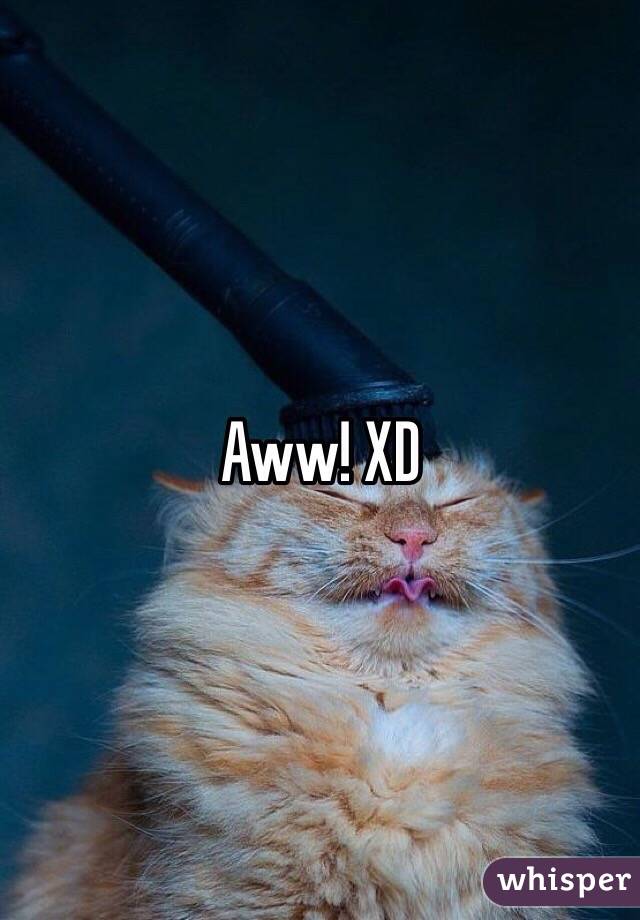 Aww! XD