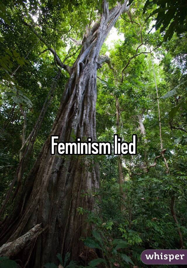 Feminism lied