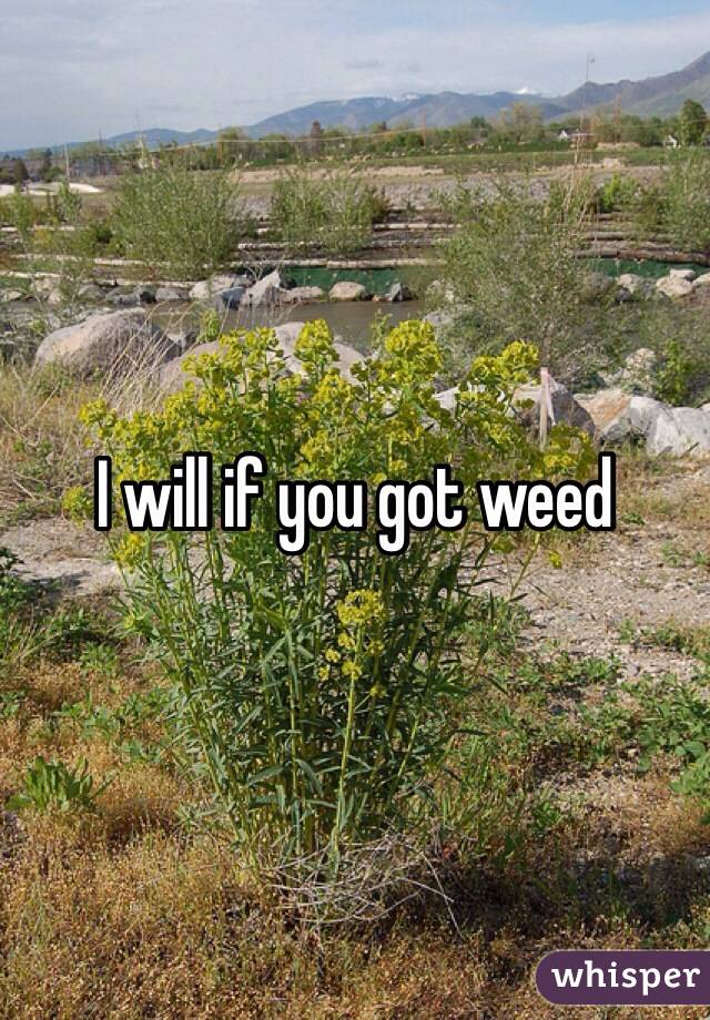 I will if you got weed